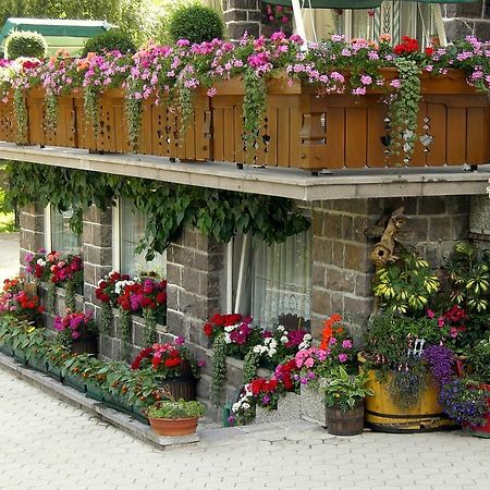 Albergo Trentino Moena Ngoại thất bức ảnh
