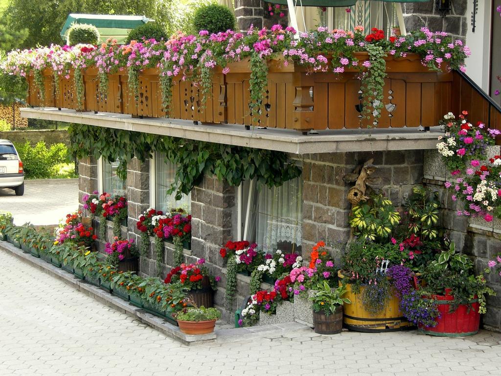 Albergo Trentino Moena Ngoại thất bức ảnh